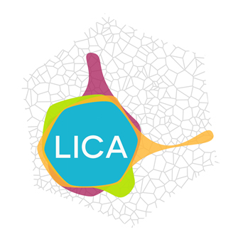 Lica Synergie Family