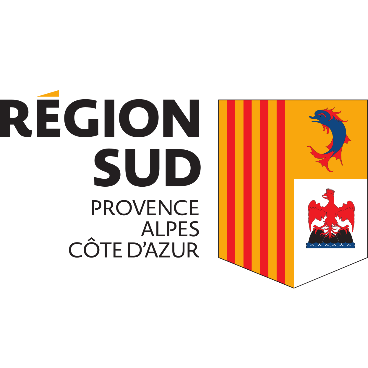 Region SUD Synergie Family