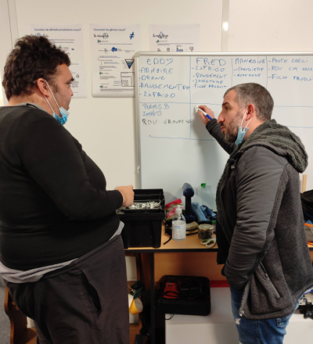 programme expertise