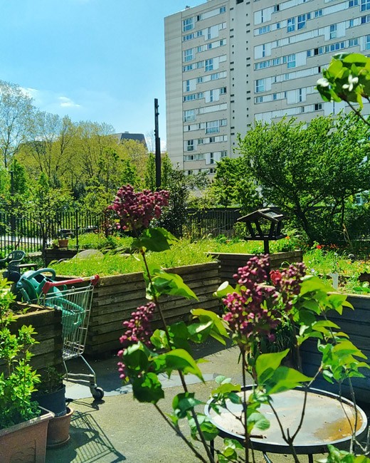 Le jardin partagé