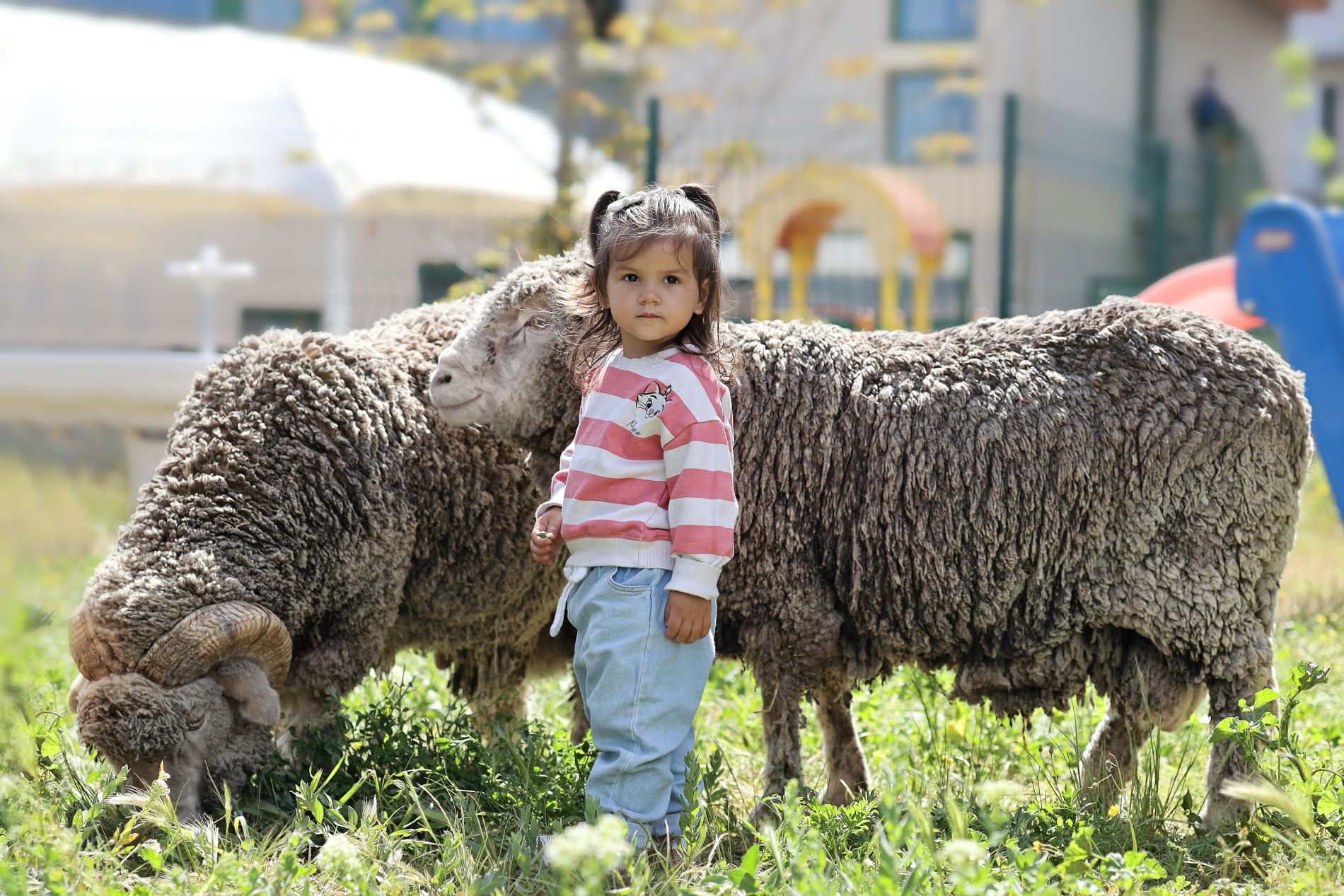 Petite enfance